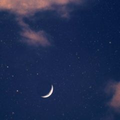 موضي السبعي